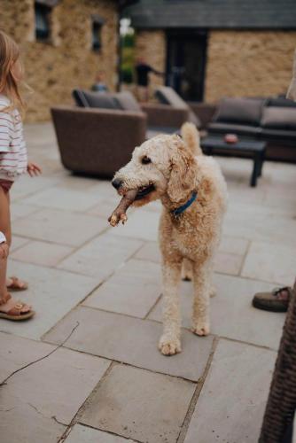 Glamping Yurts near Newquay Glamping Yurts near Newquay