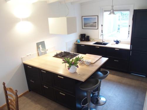 kuchnia, Vakantiehuis de Kanoet in Nieuw-Haamstede