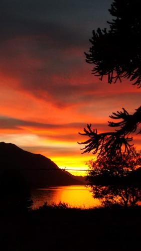 Cabanas Muller in Junín de los Andes