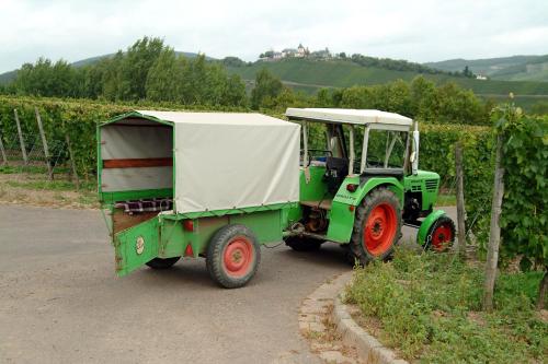 Ferienweingut Hensler