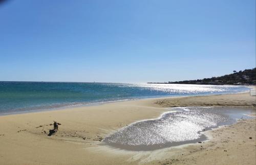 MerSea Beach Condo