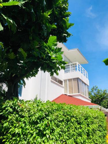 Exterior view, Summer House Inn San Andres in San Andres Island