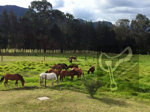 주변 환경, La Isabela Estancia Ecuestre in 기타