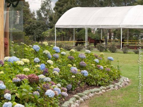 حديقة, La Isabela Estancia Ecuestre in أخرى