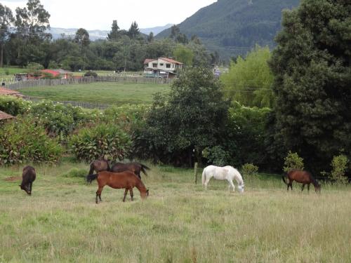La Isabela Estancia Ecuestre in 기타