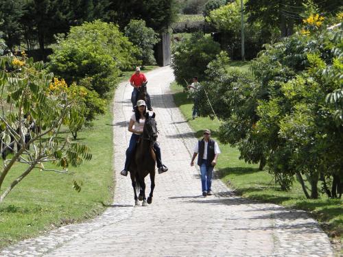 La Isabela Estancia Ecuestre