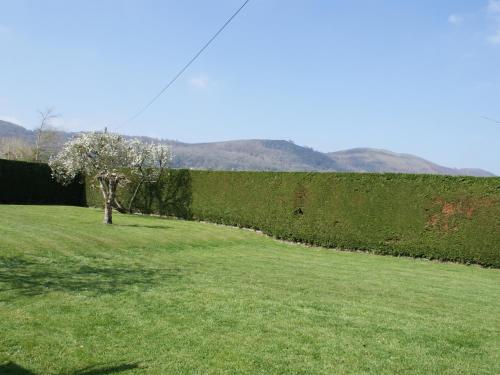 Yew Tree Cottage Malvern - image 6