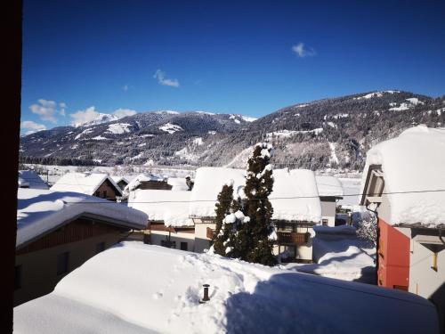 One-Bedroom Apartment with Mountain View