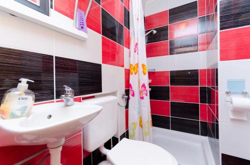 Apartments Albina - image 10