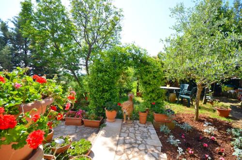 Apartment Andreas - image 9