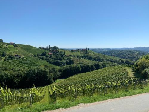 Навколишнє середовище, Apartment Weingartenblick - Glanzerhof in Лоіперсдорф