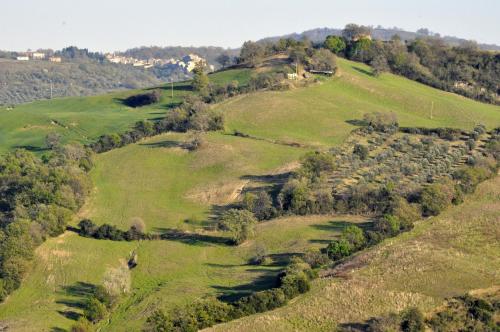 Agriturismo La Colombera in Toscana