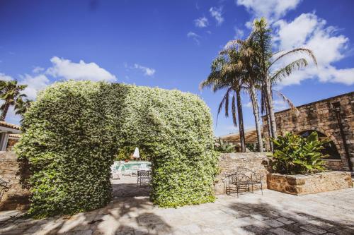 Tenuta Moreno - image 7