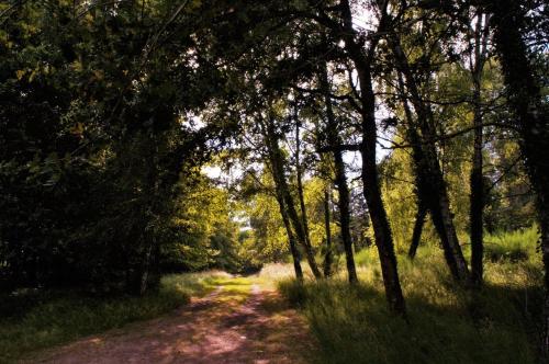 Domaine de la Ribiere – Pageas, NM