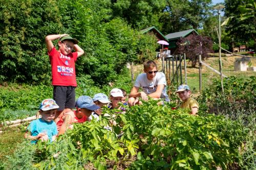 Camping de Tauves