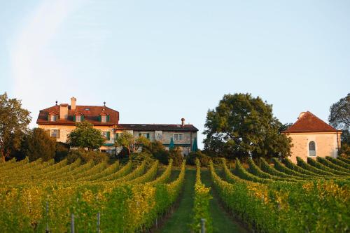 Domaine de Châteauvieux - Hotel - Peney-Dessus