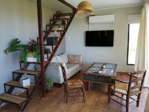 Rinconada, casa de huéspedes, San Pedro (photo 8)