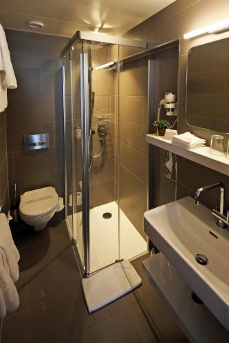 Best Western Plus Hotel Zürcherhof - image 8