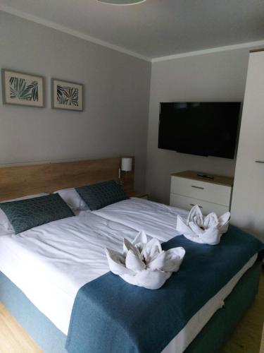 Apartamenty Willa Atena - image 4