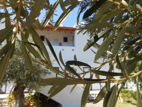 Facilities, Nikos Apartments & Studios in Plakias