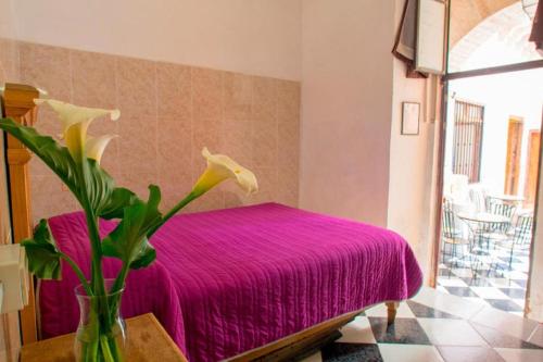 Casa Lupita Hostel in Guanajuato, Mexico