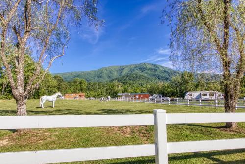 Down on the Farm cabin - image 3