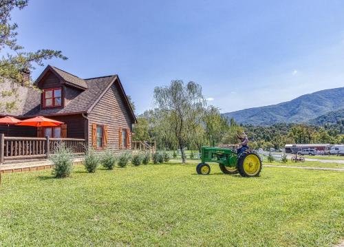 Cove Mountain Lodge cabin - image 7