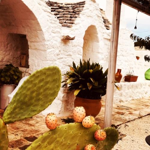  Borgo trulli 1789 in Ostuni
