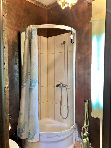 Straszny Dwr - image 5