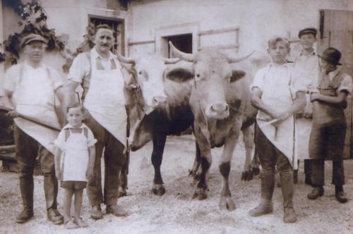 Penzion Pri Žabarju - image 5
