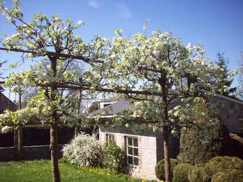 B&B La Buissonniere - image 2