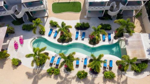 285693240 Blue Palm Bacalar