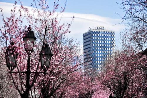 Maritim Hotel Plaza Tirana photo 4