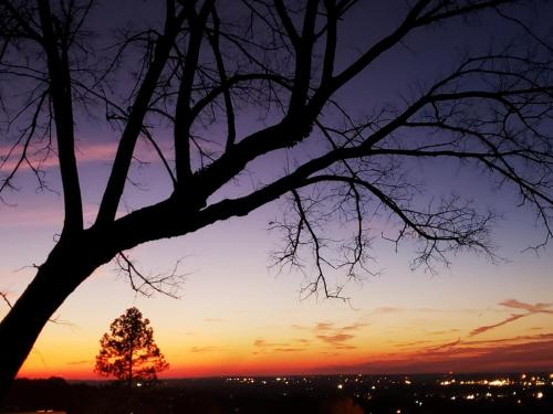 Birmingham Tree House