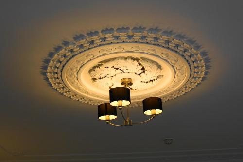 The Olive Branch - image 12
