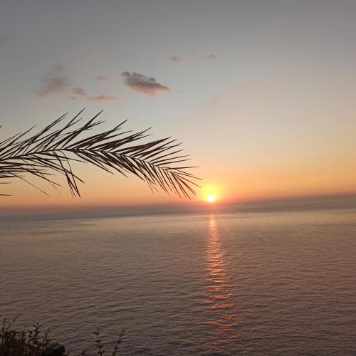 Sunset villa