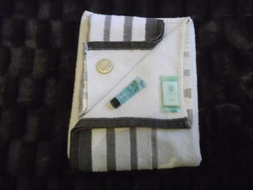 Atlantis Hotel - image 4