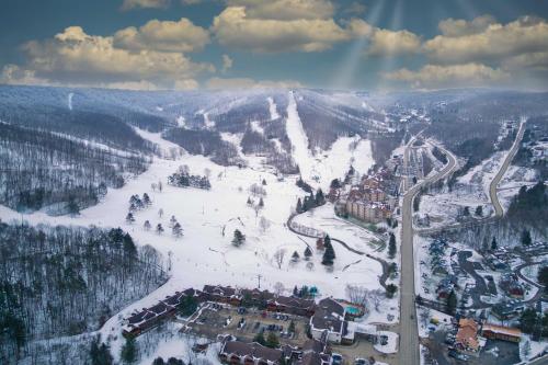 Ski-In and Out and Golf Condo with A and C at Holiday Valley! - image 5