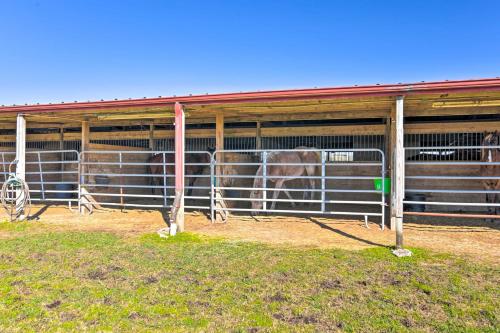 Serene 35-Acre Horse Ranch with Deck and Pond!