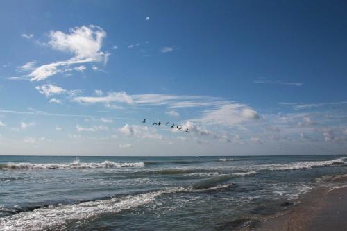 Oceanfront Getaway with Satellite Beach Views! - image 2