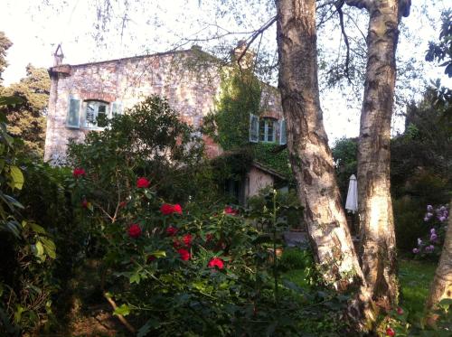 Antica Dimora in campagna- Massarosa gîte à louer Balbano