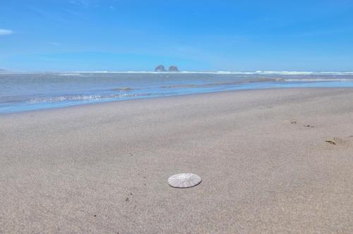 Whale Watcher Condo #3 - image 11