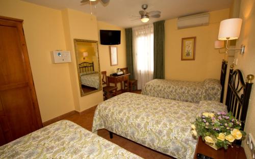 Hostal Los Alpes - image 8