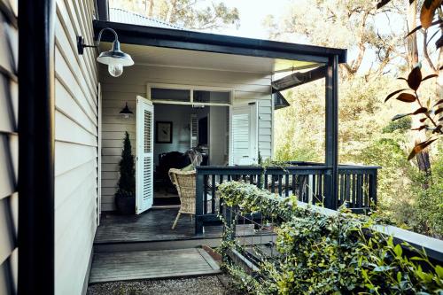 The Blackwood Sassafras