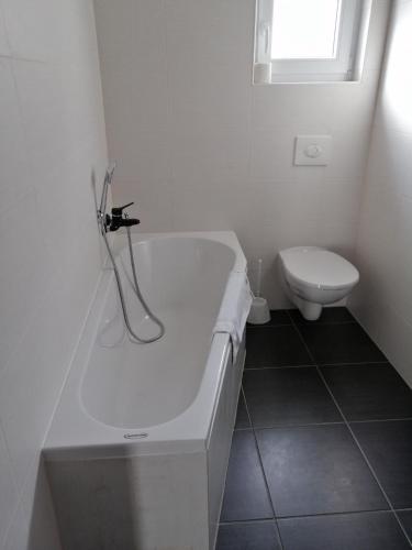  Apartments Lapaž in Sveti Martin na Muri