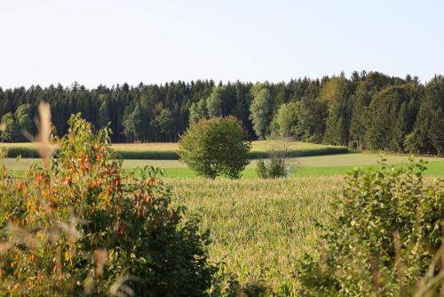 Birkenhäusle Trautmannshofen