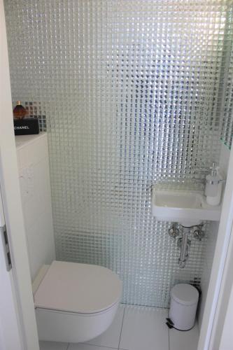 Appartement de standing vue lac a Pully