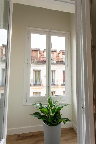 Hostal La Plata - image 8