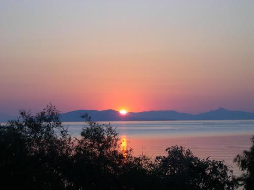 Saronis Hotel - image 4