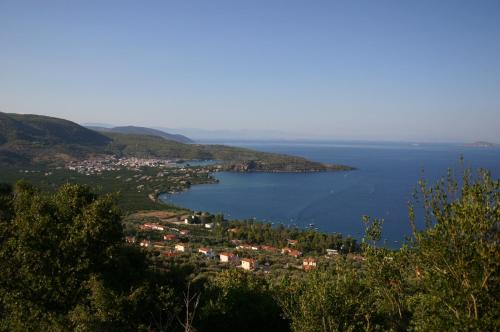Saronis Hotel - image 13